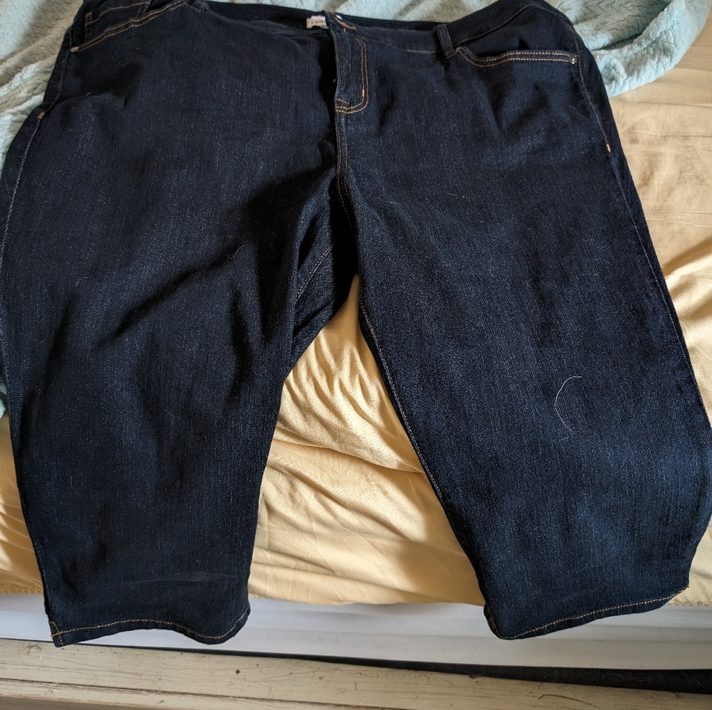 Lane Bryant Petalpushers